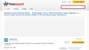 Freesound聲音庫：Kirjosieppo, laulu / Pied flycatcher, song, singing in a forest, other birds and distant traffic in縮圖