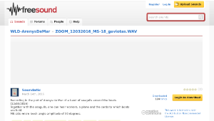Freesound聲音庫：ZOOM_12032016_MS-18_gaviotas.WAV-資源代表圖
