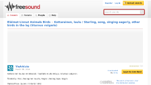 Freesound聲音庫：Kottarainen, laulu / Starling, song, singing eagerly, other birds in the bg (Sturnus vulgaris) -資源代表圖