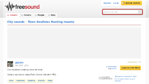 Freesound聲音庫：Town Swallows Hunting Insects-資源代表圖