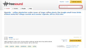 Freesound聲音庫：coffee plantation under cover of large coffee plants like jungle small trees birds distant waterfall-資源代表圖