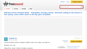 Freesound聲音庫：K&auml;enpiika, huutoja, kev&auml;t / Wryneck calling in the forest in the spring, some other birds in the bg縮圖