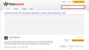 Freesound聲音庫：Common Raven, Mt. Greylock, Berkshire County, Massachusetts, USA-資源代表圖