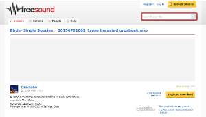 Freesound聲音庫：20150721005_1rose breasted grosbeak.wav縮圖