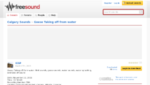 Freesound聲音庫：Geese Taking off from water縮圖