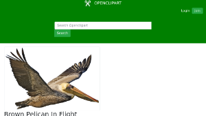 openclipart圖庫：Brown Pelican In Flight-資源代表圖