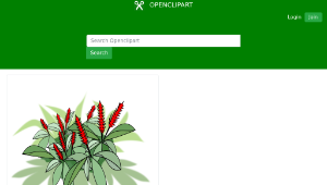 openclipart圖庫：Alpinia Purpurata-資源代表圖