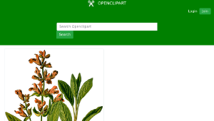 openclipart圖庫：Sage (detailed)-資源代表圖