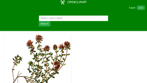 openclipart圖庫：Wild thyme (detailed)-資源代表圖