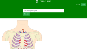 openclipart圖庫：Human Organs Torso-資源代表圖