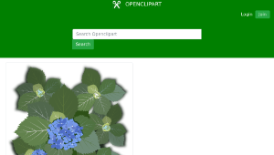 openclipart圖庫：Hydrangea macrophylla-資源代表圖