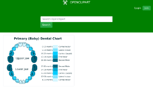 openclipart圖庫：Primary Dental Chart
