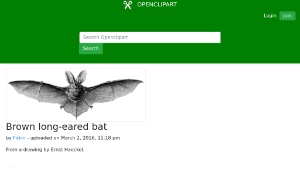 openclipart圖庫：Brown long-eared bat-資源代表圖