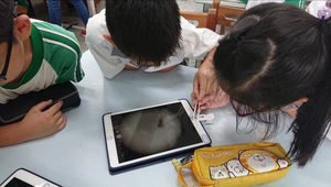 看見微小靈感的力量縮圖