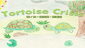 Tortoise Crisis-資源代表圖