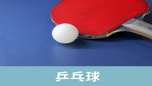 乒乒球—5規則化程式-資源代表圖
