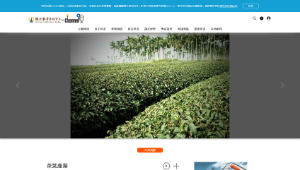 產業大未來-茶葉產業