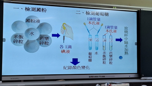 澱粉與醣類的測定-資源代表圖