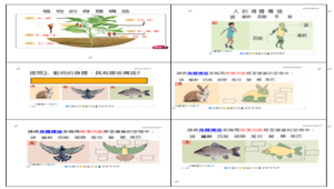 動物的身體構造