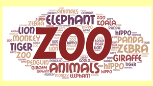Dear Zoo-資源代表圖