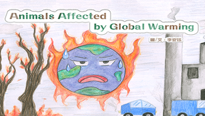 Animals Affected by Global Warming-資源代表圖