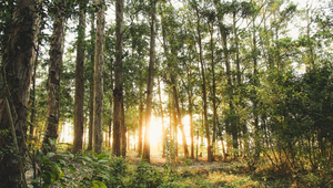 永續Earth養成記-環保永續讓世界聞見「臺灣味」-資源代表圖