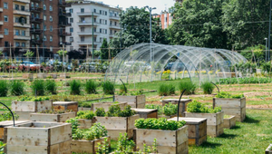 永續Earth養成記-世界第一個循環型都市農園