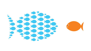 海洋科學來調查-魚類的自衛術-資源代表圖