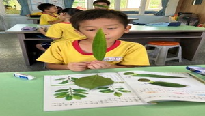 三年級-自然-多采多姿的植物-資源代表圖