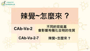 CAb-Va-2-7 辣覺~怎麼來