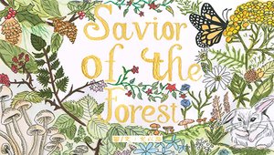 Savior of the Forest-資源代表圖