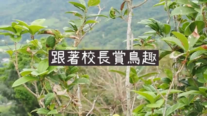 跟著校長賞鳥趣