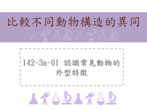 認識常見動物的外型特徵