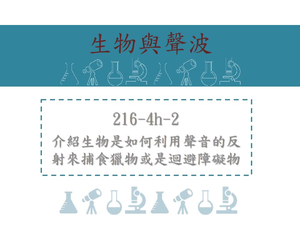 介紹生物是如何利用聲音的反射來捕食獵物或是迴避障礙物