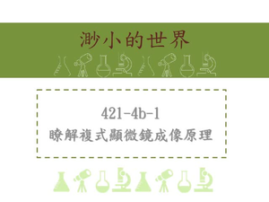 複式顯微鏡物鏡與目鏡為凸透鏡。進入顯微鏡的光線由反光鏡聚集，穿過光圈進入顯微鏡的物鏡中，第一次折射，在目鏡的焦點內得到放大、倒立的實像