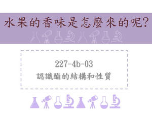 認識酯的結構和性質