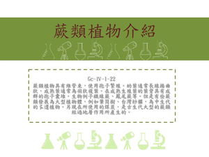蕨類植物具有維管束，使用孢子繁殖。