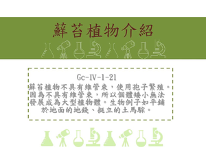 蘚苔植物不具有維管束，使用孢子繁殖。