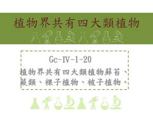 植物界共有四大類植物:蘚苔、蕨類、裸子植物、被子植物