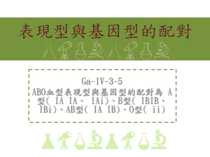 ABO血型表現型與基因型的配對