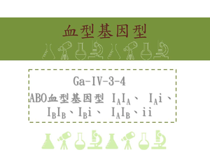 ABO血型基因型
