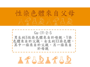 男生的X性染色體來自於母親，Y染色體來自於父親，女生的XX染色體，其中一條來自於父親，另一條來自於母親