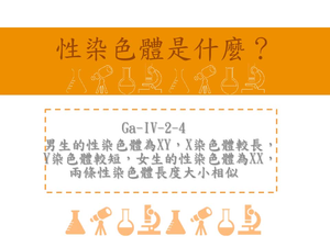 男生的性染色體為XY，X染色體較常，Y染色體較短，女生的性染色體為XX，兩條性染色體長度大小相似