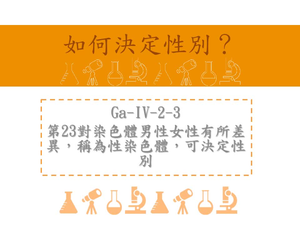 第23對染色體男性女性有所差異，稱為性染色體，可決定性別