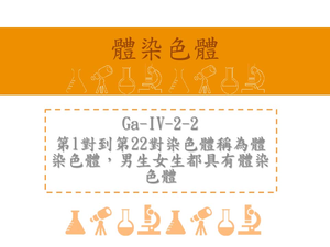 第1對到第22對染色體稱為體染色體，男生女生都具有體染色體
