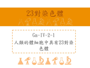 人類的體細胞中具有23對染色體