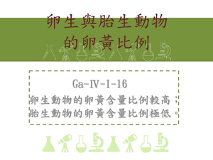 卵生物的卵黃含量比例較高；胎生動物的卵黃含量比例極低