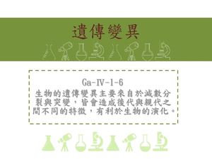 生物的遺傳變異主要來自於減數分裂與突變，皆會造成後代與親代之間不同的特徵，有利於生物的演化