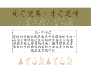 天擇
