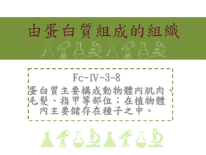 蛋白質主要構成動物體內肌肉、毛髮、指甲等部位；在植物體內主要儲存在種子之中